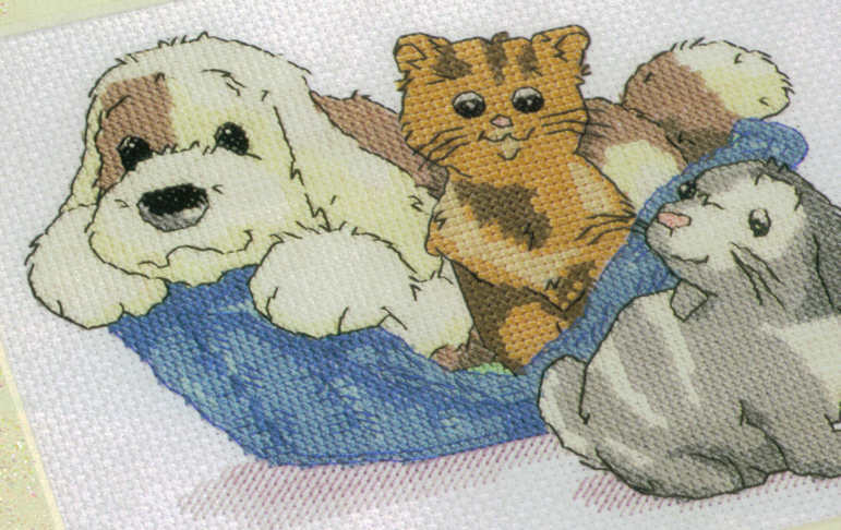 Love Us. DMC Perfect Pets