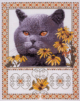 CMH Tuffy Toes. Cats