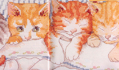 Dim. 'I'm Afraid'. Cats