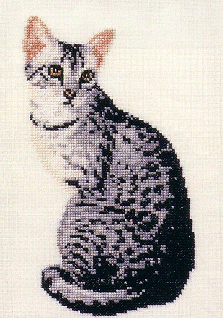 Jill Oxton Egyptian Mau. Cats