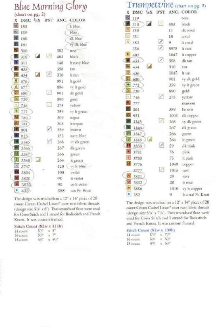 Ключ у Морнинг глори и Трумпетвинь. Птичий квартет