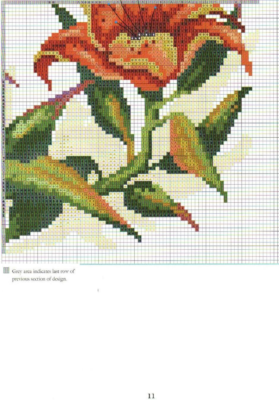 Садовые лилии схема 4. Садовые лилии