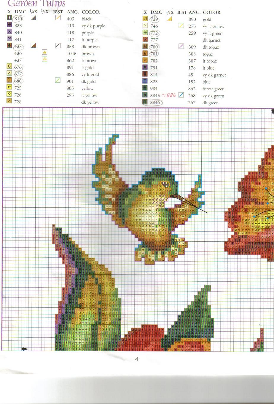 Садовые  тюльпаны схема 1. Садовые тюльпаны