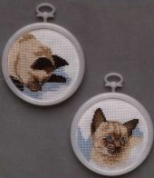 Siamese Kittens 60306. Cats