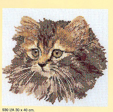 TG 930 Suzanne. Cats