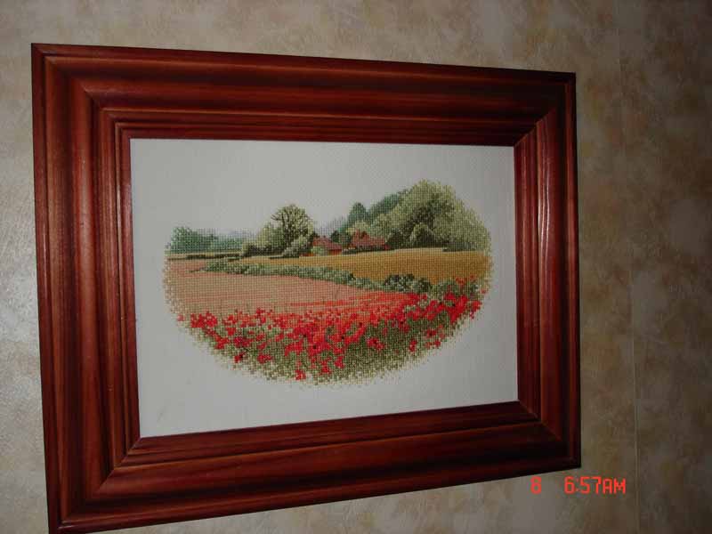 Маковое поле. Работы моей мамы