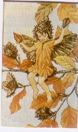 33386 The Beechnut Fairy. Lanarte
