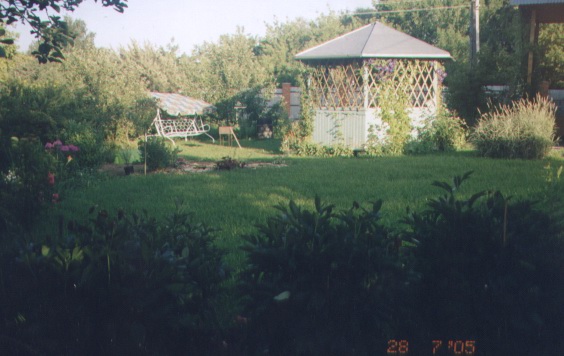 Любимый вид.. Мой сад