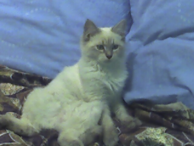 Наша любимица