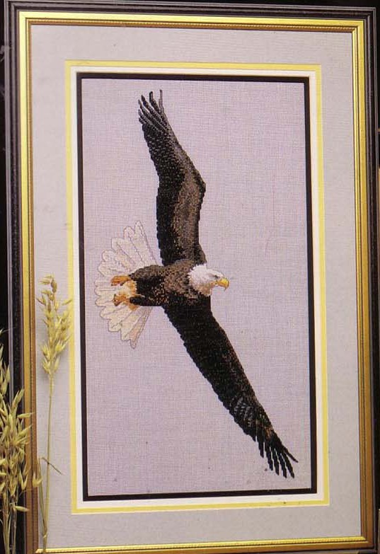 AE-#12. American Eagle and Other...