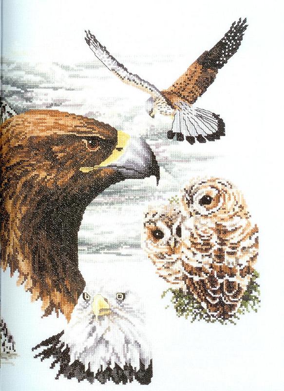 AE-#22. American Eagle and Other...