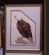 AE-#38. American Eagle and Other...