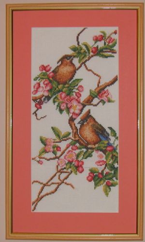 Яблоня в цвету. 