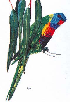 P-067. Parrots