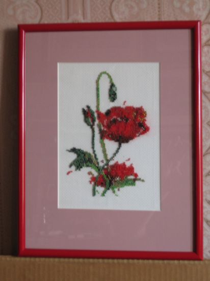 Маки. мои работы