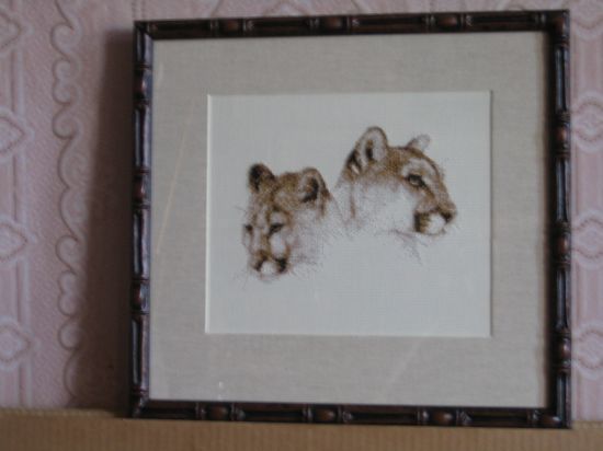 Львицы. мои работы