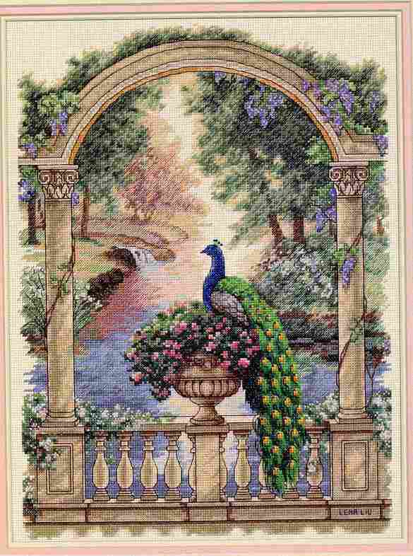 DIM_35110_Majestic Peacock. Dimensions