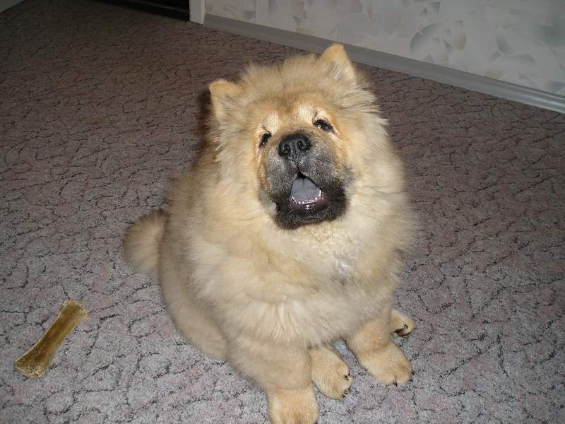 Пилат. Пилат