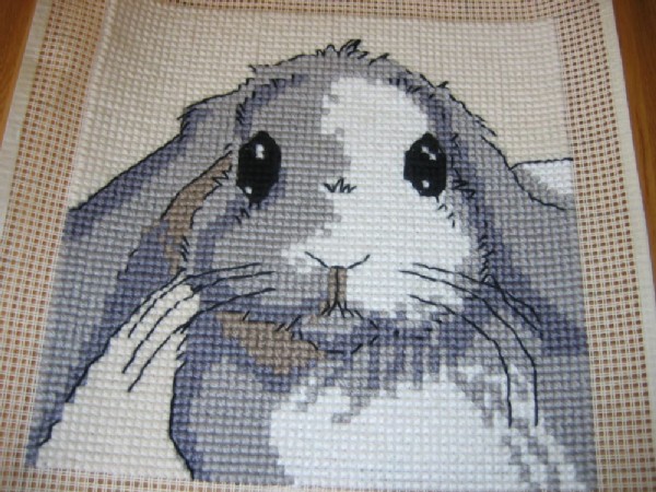 Зайчишка от Sedum. Встреча в январе 2005г.