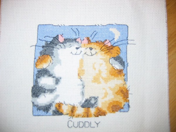 Шерри-котики от Наташи. Встреча в январе 2005г.