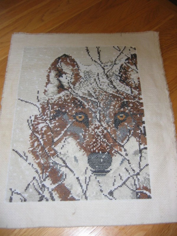 Волк Наташи. Встреча в январе 2005г.