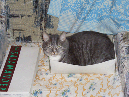 саламандер :). 