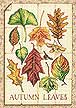 35014 leaves of autumn. DIMENSIONS 35000-39000