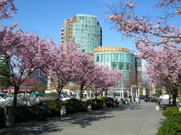 Весна (без пароля)