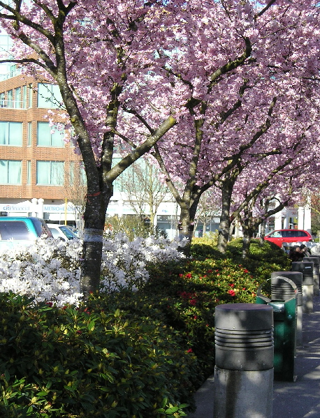 Весна (без пароля)