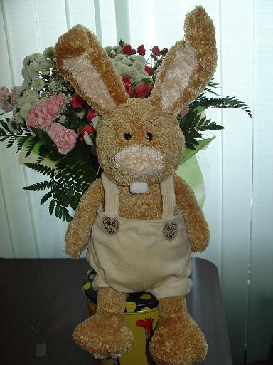 ЛюкА. Зайцы форева!