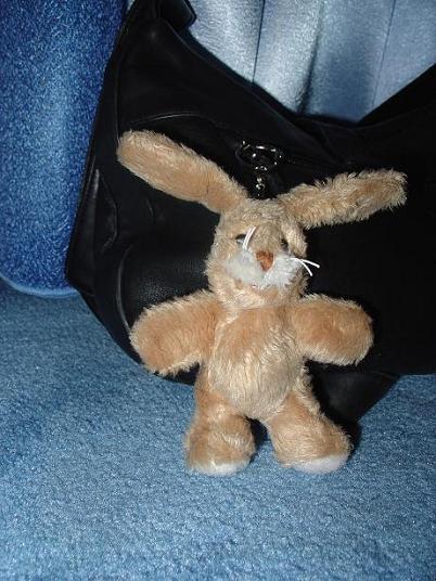 ЛАки(на сумочке у меня живет). Зайцы форева!