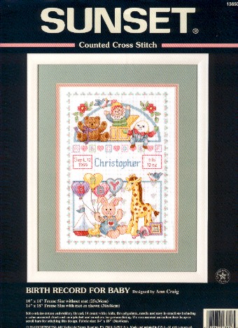 13650 birth record for baby. DIMENSIONS 12000-13000