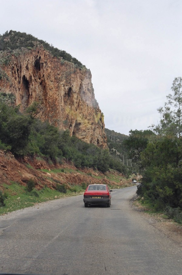 Дорога. Алжир