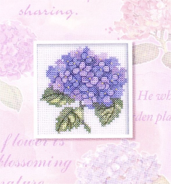 72608 purple hygandrea. DIMENSIONS 72000