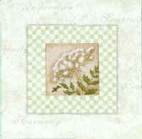 72609 queen anne´s. DIMENSIONS 72000