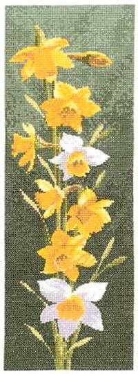 Нарцисы. Цветы 161