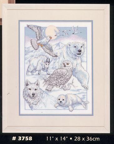 3758 northamerican beauties. DIMENSIONS 3000