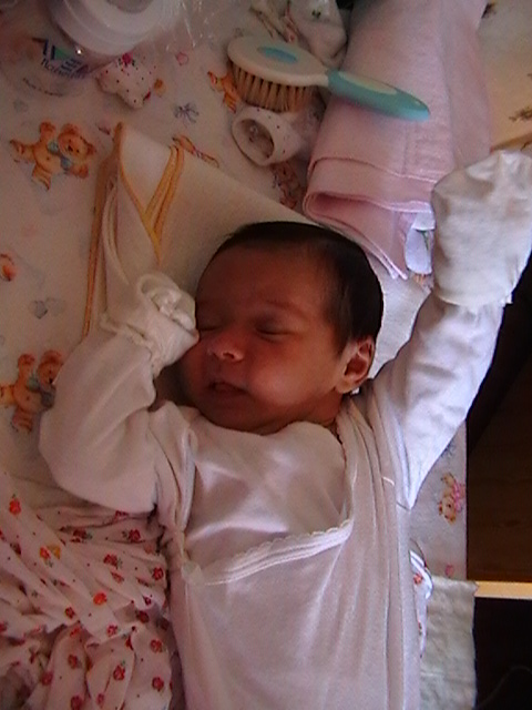 Новая папка