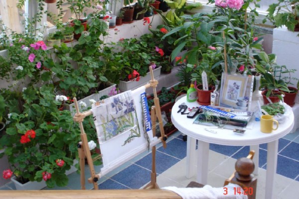 Тут я вышиваю ирисы. Фотки с удаленных рег