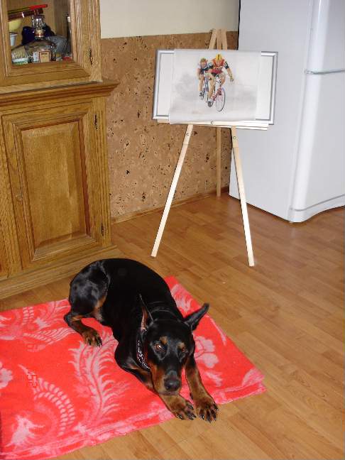 Фрэнки. Питомцы