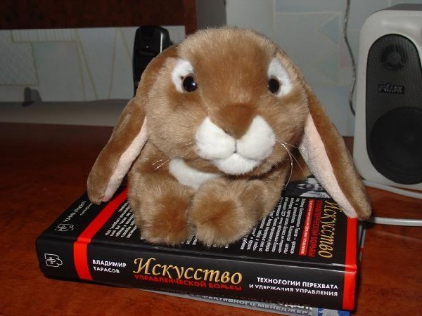 Тарасик. Зайцы форева!