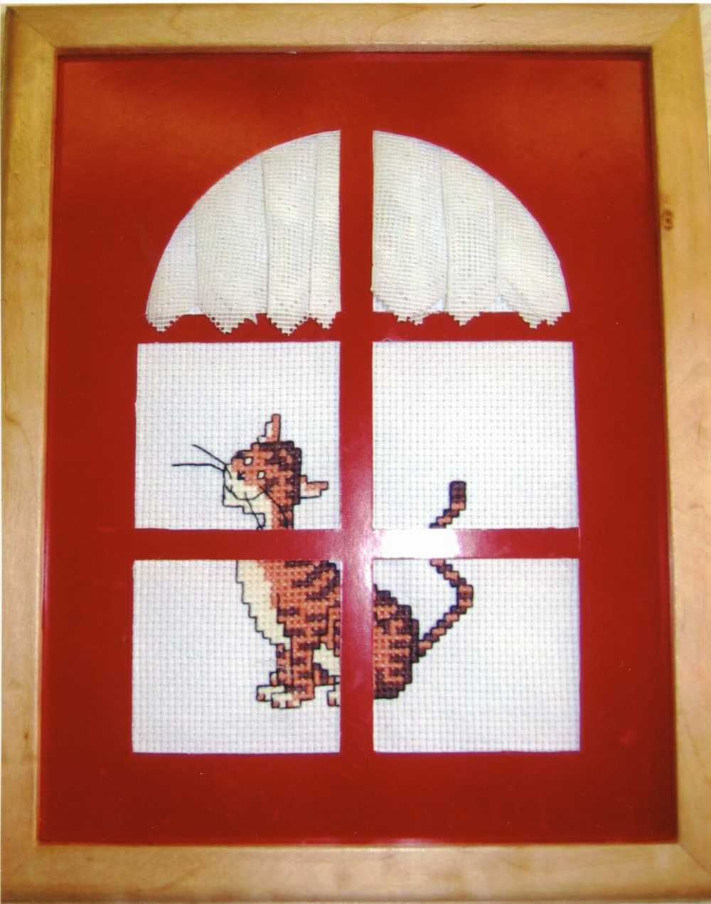 Котик в окне. Коты