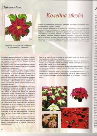 Галерия Бродерия 12-2004