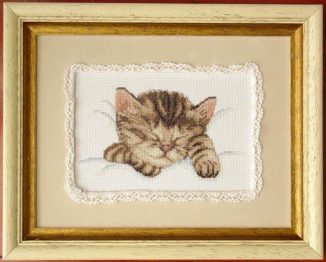 Cat sleeping. Мои работы
