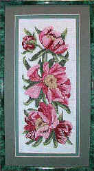 008. Твиллис. ПИОНЫ