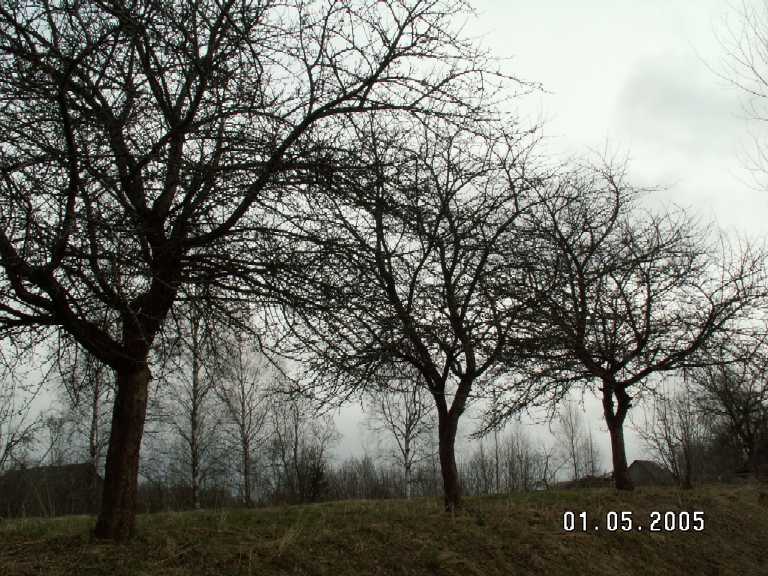 Селигерский край в мае