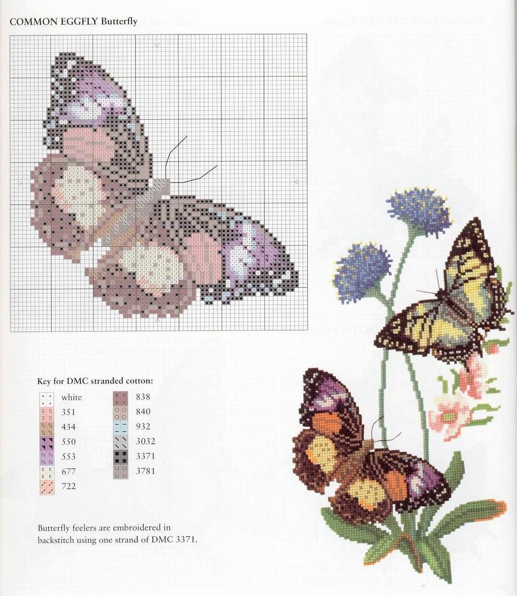 Бабочка крестиком схема. Вышивка бабочка. Вышивка крестиком бабочки. Схема вышивки бабочки. Вышивка крестом бабочки схемы.