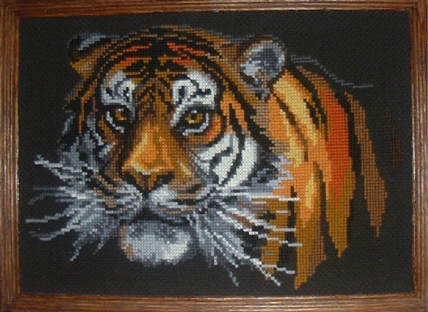 Tiger Head. Animals: