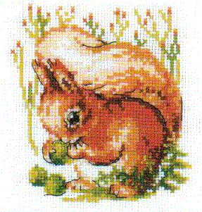 Squirrel 3-046. Animals: