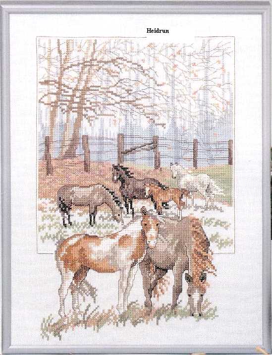 OOE 84.210 In the Paddock. Animals: